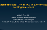 Impella-Assisted TAV in TAV in SAV for Acute Cardiogenic Shock