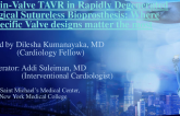 Valve-in-Valve Transcatheter Aortic Valve Replacement (TAVR) in Rapidly Degenerated Surgical Sutureless Bioprosthesis: Where Specific Valve Designs Matter the Most