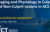Imaging and Physiology in Culprit and Non-Culprit Lesions in ACS