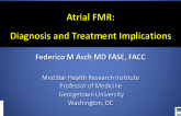 Atrial Functional MR: Diagnosis and Therapy Implications