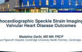 Echocardiographic Speckle Strain Imaging and Valvular Heart Disease Outcomes
