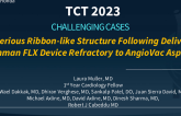 TCT 930: Mysterious Ribbon-like Structure Noted on Watchman FLX Device Refractory to AngioVac Aspiration