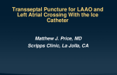 Transseptal Puncture for LAAO and Left Atrial Crossing With the Ice Catheter