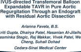 IVUS-Directed Transfemoral Balloon Expandable TAVR in Pure Aortic Regurgitation Through an Endograft With Residual Aortic Dissection?