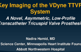The VDyne TTVR System: Early Human Clinical Results