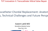 SPOTLIGHT INNOVATION LECTURE: Transcatheter Chordal Replacement: Anatomical Targets, Technical Challenges and Future Perspectives