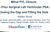 Mitral PVL Closure in Prior Surgical Left Ventricular PSA: Closing the Gap and Filling the Hole