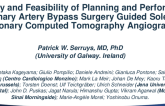Safety and Feasibility of Planning and Performing Coronary Artery Bypass Surgery Guided Solely by Coronary Computed Tomography Angiography