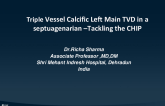 TCT 1529: Triple Vessel Calcific Left Main TVD in a Septuagenarian: Tackling the CHIP