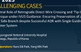 TCT 860: Essential Role of Retrograde Direct Wire Crossing and 'Tip-In' Technique under IVUS Guidance: Ensuring Preservation of a large Side Branch despite Successful ADR with Single Guiding Catheter System