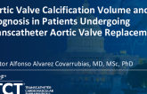 TCT 858: Aortic Valve Calcification Volume and Prognosis in Patients Undergoing Transcatheter Aortic Valve Replacement
