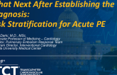 What Next After Establishing the Diagnosis: Risk Stratification for Acute PE