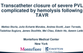 Transcatheter closure of severe PVL complicated by hemolysis following TAVR