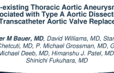 Pre-Existing Thoracic Aortic Aneurysm is Associated with Type A Aortic Dissections After Transcatheter Aortic Valve Replacement