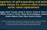 Comparison of Self-Expanding and Balloon-Expandable Valves For Valve-In-Valve Transcatheter Aortic Valve Replacement