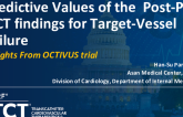 TCT 528: Predictive Values of the Post-PCI OCT Findings for Target-Vessel Failure: Insights From the OCTIVUS Trial