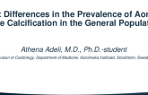 TCT 690: Sex Differences in the Prevalence of Aortic Valve Calcification in the General Population