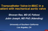 Transcatheter Valve-in-MAC in a patient with mechanical aortic valve
