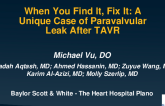 When You Find It, Fix It: A Unique Case of Transcatheter Closure of Paravalvular Leak After TAVR