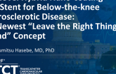TCT 709: The Novel Hybrid Nano-coating Ni-Ti stent for below-the-knee atherosclerotic disease: The Newest “Leave the Right Thing Behind”Concept