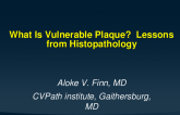 What Is a Vulnerable Plaque? Lessons From Histopathology