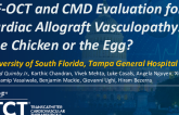 TCT 962: HF-OCT and CMD Evaluation for Cardiac Allograft Vasculopathy: The Chicken or the Egg?