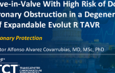 TCT 1459: Valve-in-Valve With High Risk of Double Coronary Obstruction in a Degenerated Self Expandable Evolut R TAVR