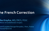 The French Correction