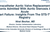 Transcatheter Aortic Valve Replacement in Patients Admitted With Aortic Stenosis and Acute Heart Failure: Insights From the STS-TVT Registry