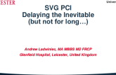 SVG PCI -Delaying the Inevitable (but not for long…)
