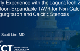 Early Experience with the LagunaTech Balloon-Expandable TAVR for Non-Calcific Regurgitation and Calcific Stenosis – Consistent Landing Height with a Short-Framed Valve