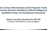 High Risk Coronary Atherosclerosis Identified by AI Algorithms and Its Prognostic Timeframe for Predicting Acute Coronary Syndromes