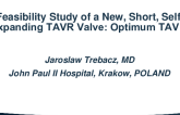 Feasibility Study of a New Short, Self-Expanding TAVR Valve: Optimum TAV