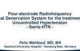IBERIS Clinical Trial Program (Radio-Frequency Renal Denervation)