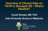 Overview of Clinical Data on TAVR in Bicuspid AS - What's Needed?