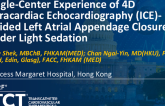 TCT 1168: Single-Center Experience of 4D Intracardiac Echocardiography (ICE)-Guided Left Atrial Appendage Closure Under Light Sedation