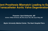 Case of a Patient Prosthesis Mismatch Leading to Early Transcatheter Aortic Valve Degeneration