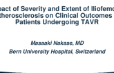 Impact of Severity and Extent of Iliofemoral Atherosclerosis on Clinical Outcomes in Patients Undergoing TAVR