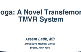 Tioga: A Novel Trans-Femoral TMVR System