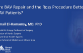Are BAV Repair and the Ross Procedure “Better” for BAV Patients?