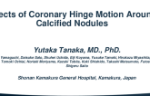 TCT 377: Effects of Coronary Hinge Motion Around Calcified Nodules
