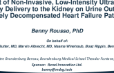 Impact of Noninvasive, Low-Intensity Ultrasound Energy Delivery to the Kidney on Urine Output in Acutely Decompensated Heart Failure Patients