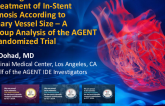 TCT 491: AGENT Paclitaxel-Coated Balloon for the Treatment of In-Stent Restenosis in Small Vessel Coronary Lesions: A Subgroup Analysis of the AGENT IDE Randomized Trial