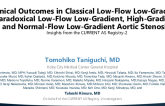 TCT 717: Clinical Outcomes in Classical Low-Flow Low-Gradient, Paradoxical Low-Flow Low-Gradient, High-Gradient, and Normal-Flow Low-Gradient Aortic Stenosis: Insights from the CURRENT AS Registry-2