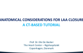 Anatomic Considerations for LAAO, a CT Based Tutorial