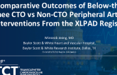 TCT 397: Comparative Outcomes of Below-the-Knee CTO vs Non-CTO Peripheral Artery Interventions From the XLPAD Registr