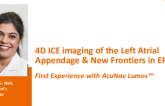 4D ICE imaging of the Left Atrial Appendage and New Frontiers in EP