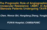 TCT 599: The Prognostic Role of a Novel Computational Approach Assessing Microcirculatory Resistance Based on a Single Angiographic View in Patients Undergoing Transcatheter Aortic Valve Replacement