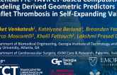 TCT 868: Potential Pre-TAVR CT Based Computational Modeling Derived Geometric Predictors of Post-TAVR Leaflet Thrombosis in Self-Expandable Valves