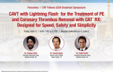Lightning Flash Technology Overview & Case Presentations